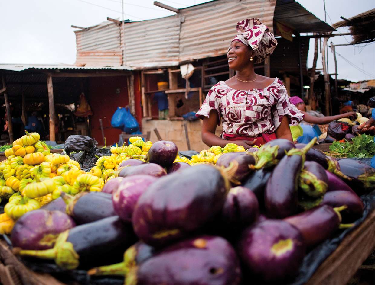 Informal Economy and Financial Inclusion: Unveiling Access to Finance among Informal Entrepreneurs in Africa